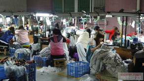 东莞市大朗 品牌毛衫工厂 承接中高档品牌毛衣加工 休闲毛衫看样贴牌下单